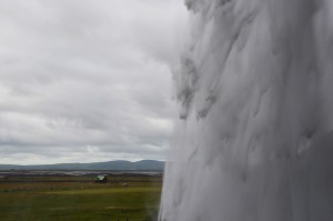 DSC_6445Bs